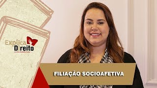 Explica Direito Filiação Socioafetiva  2019 [upl. by Dominique]