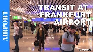 TRANSIT WALK AT FRANKFURT Airport FRA Terminal 1  Connection Flight Transfer Arriving amp Departing [upl. by Court]